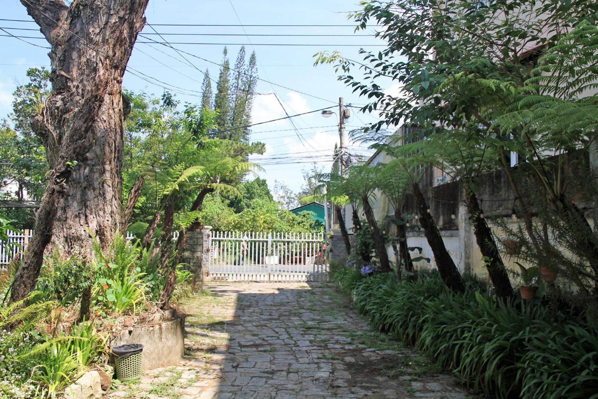 Homestaynhatuiminh Dalat Exteriér fotografie